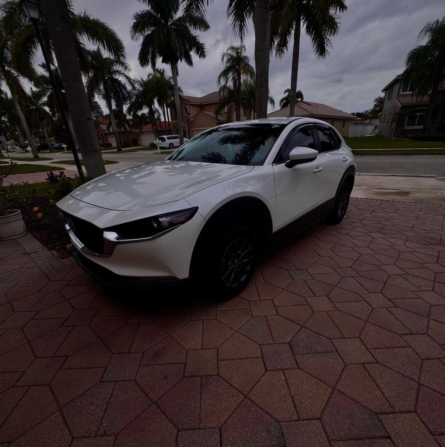 Premium auto detailing Palm Beach